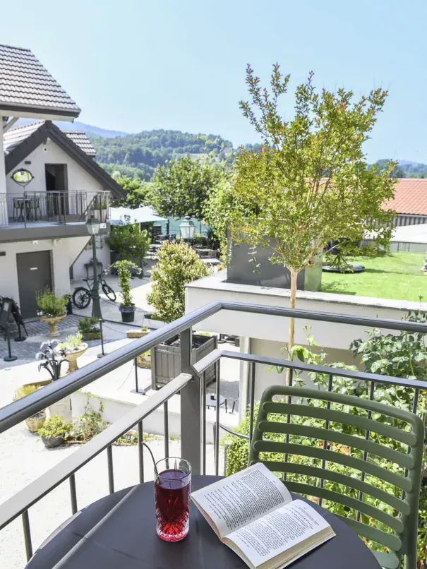 room 11 rental terrace view lake Aiguebelette