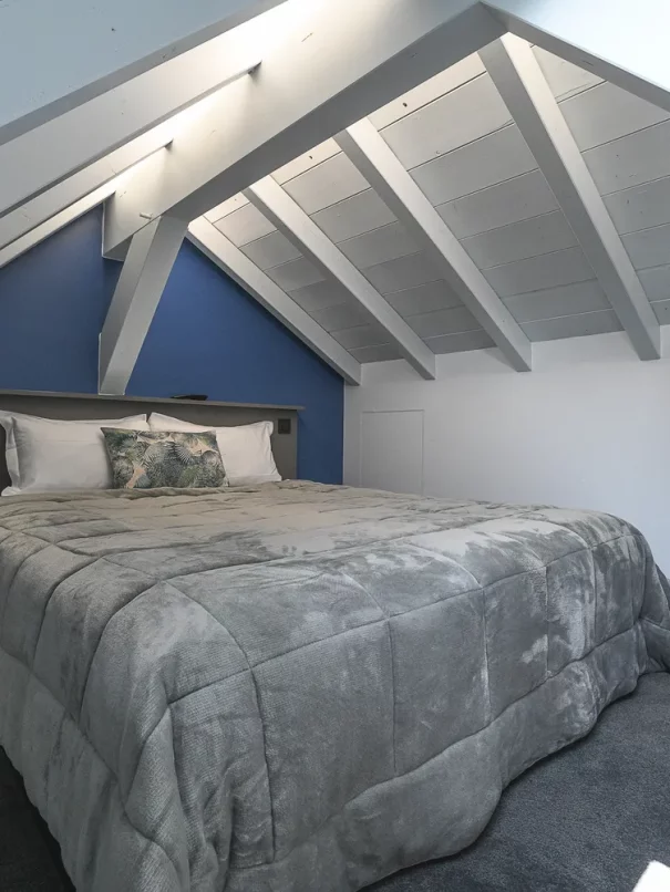 chambre 31 lac aiguebelette