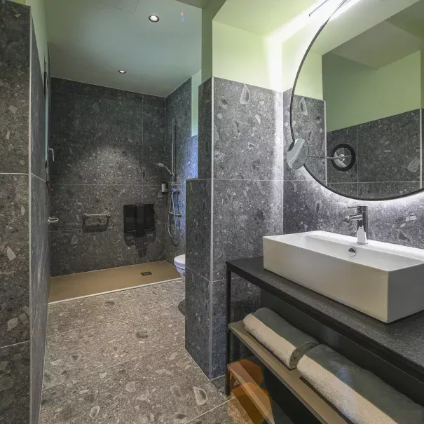 room 23 spacious bathroom accessible savoie rental