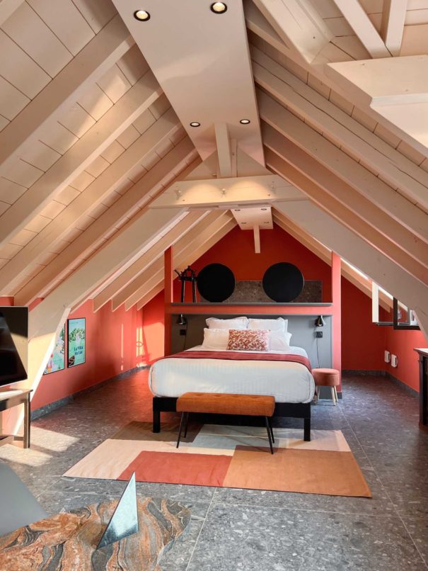 chambre 46 hotel aiguebelette savoie