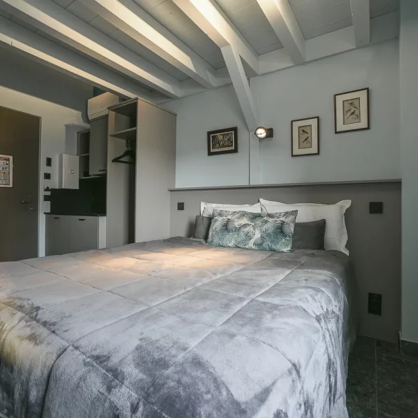chambre 41 location hebergement aiguebelette savoie charme