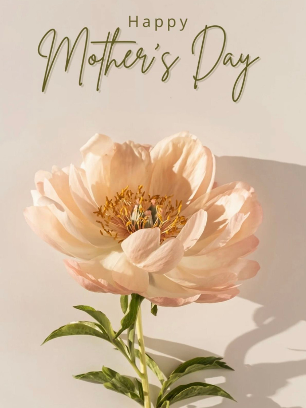 Design sans titre 23