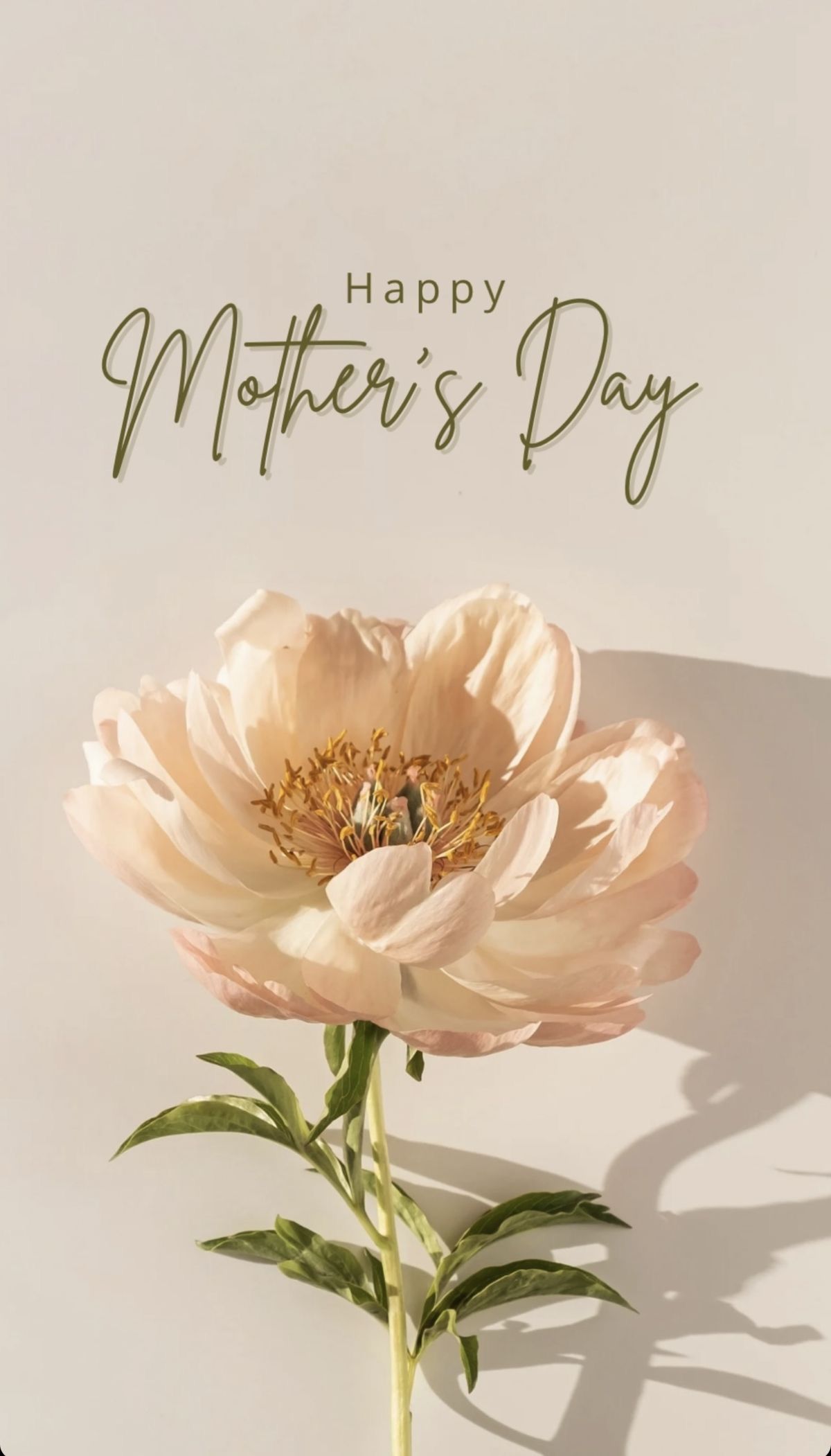 7d30df431db4a342ce4ca25f27d03479