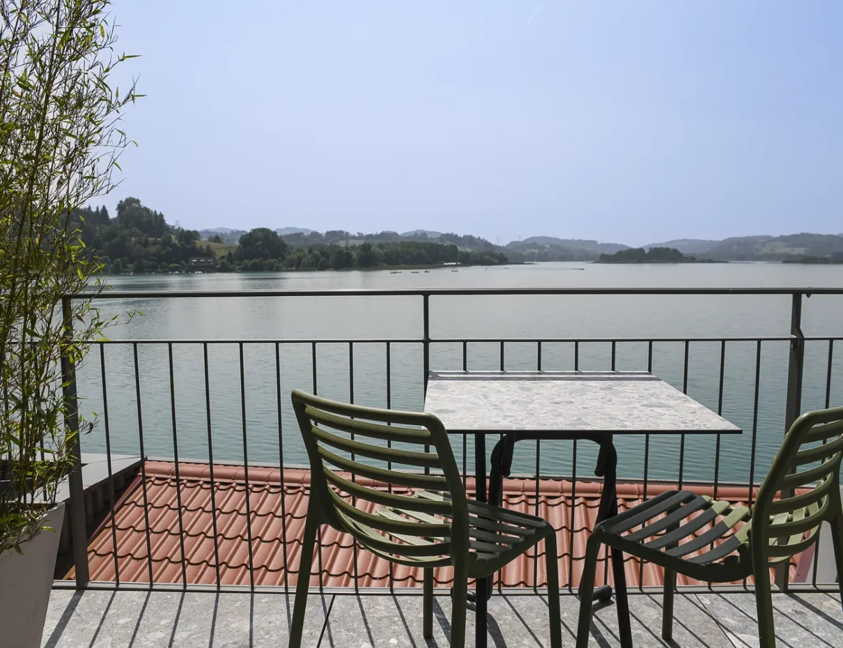 chambre 24 terrasse vue panoramique lac