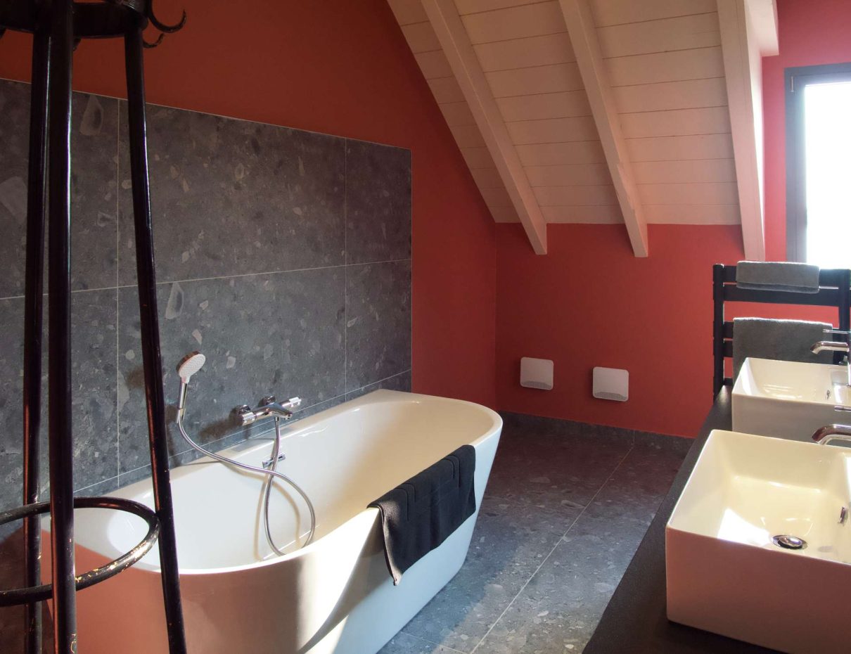 chambre 46 hotel aiguebelette savoie 04